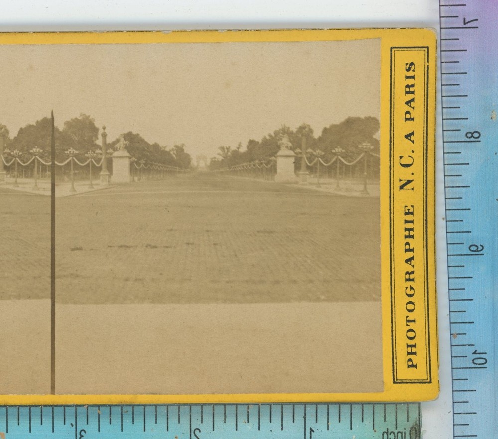 Avenue des Champs Elysees Paris France N.C. Stereoview