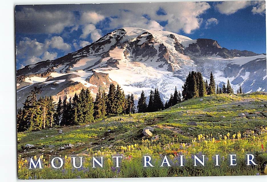 Postcard Mount Rainier Washington USA