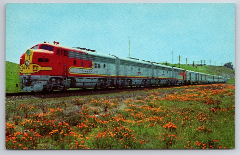 Santa Fe Super Chief Train California Poppies Curteichcolor Postcard