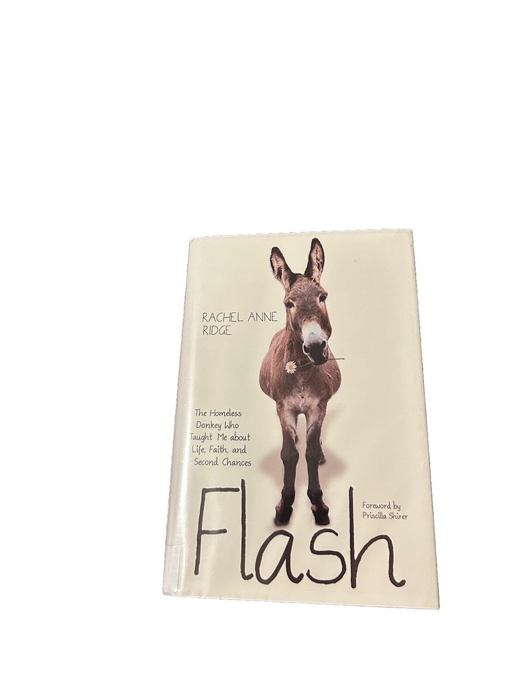 Flash The Homeless Donkey Who Taught Me about Life, Faith, by Rachel Anne Ridge
