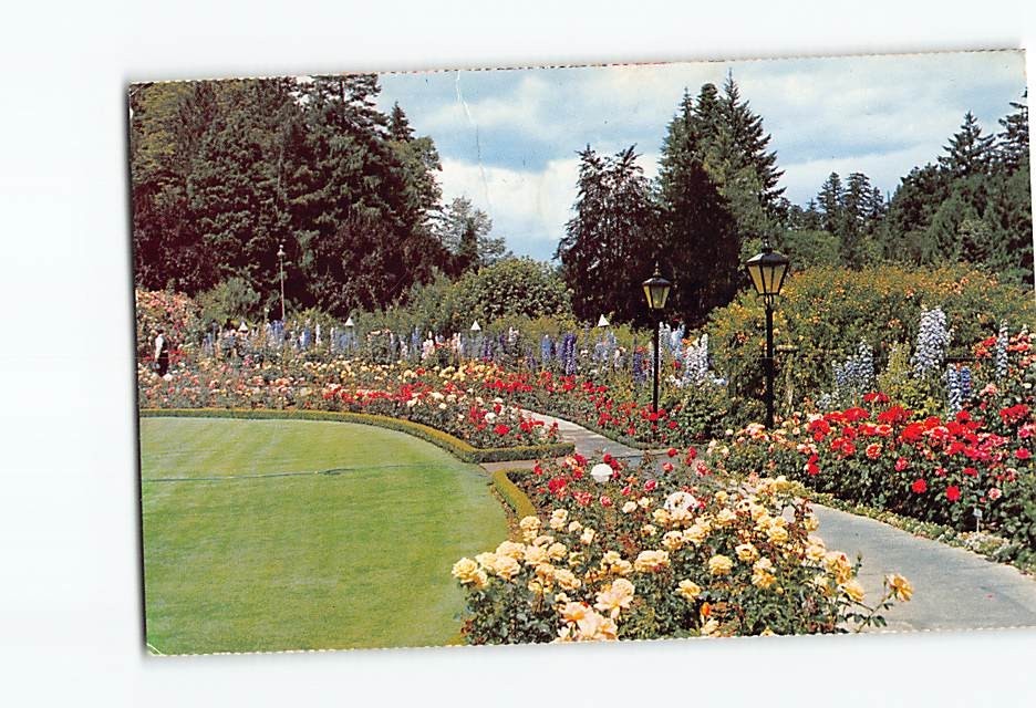Postcard The Rose Garden The Butchart Gardens Victoria British Columbia Canada