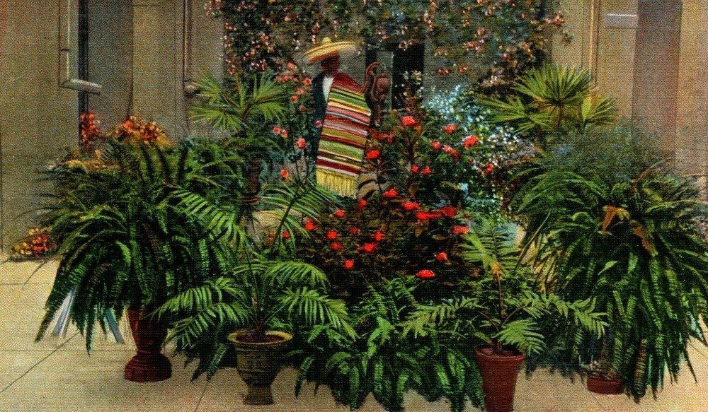 Mexican Patio and Flower Garden in Matamoros Tamaulipas Mexico Vintage Postcard