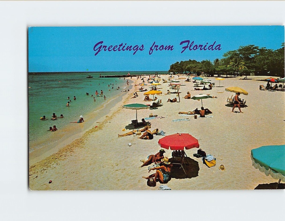 Postcard Greetings from Florida USA