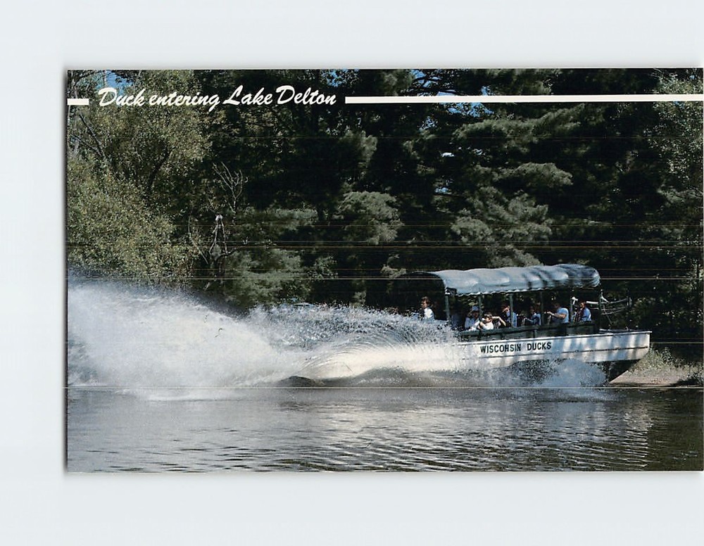Postcard Duck Entering Lake Delton Wisconsin Dells Wisconsin USA