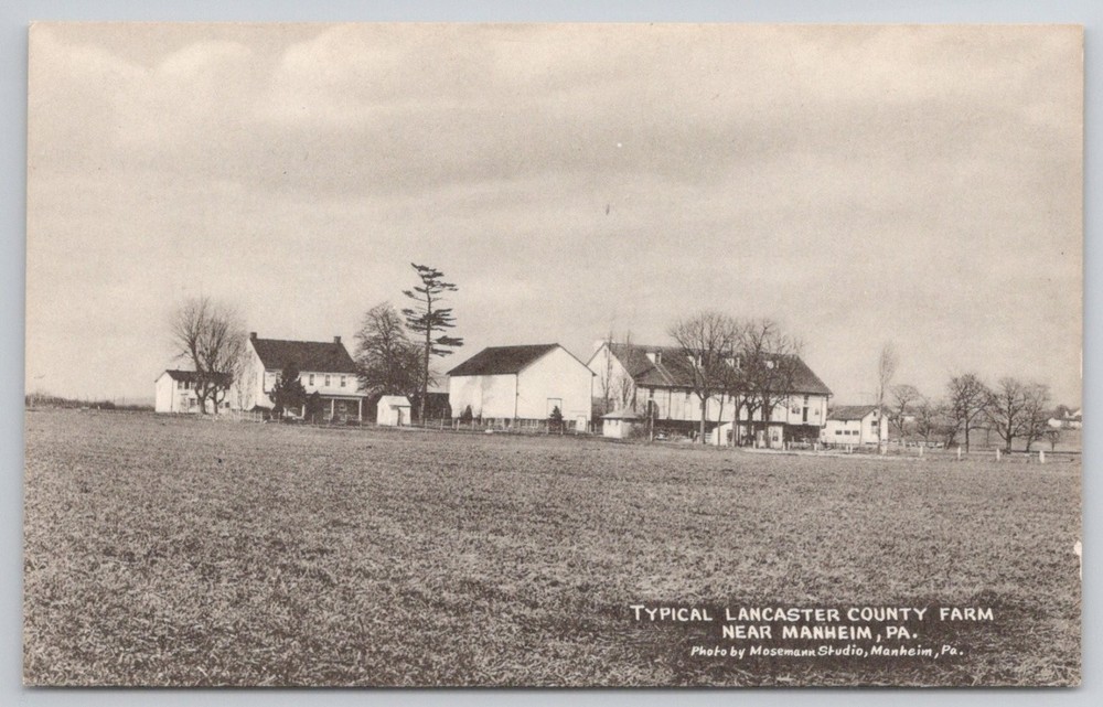 Lancaster County Farm Manheim PA Mosemann Studio Postcard