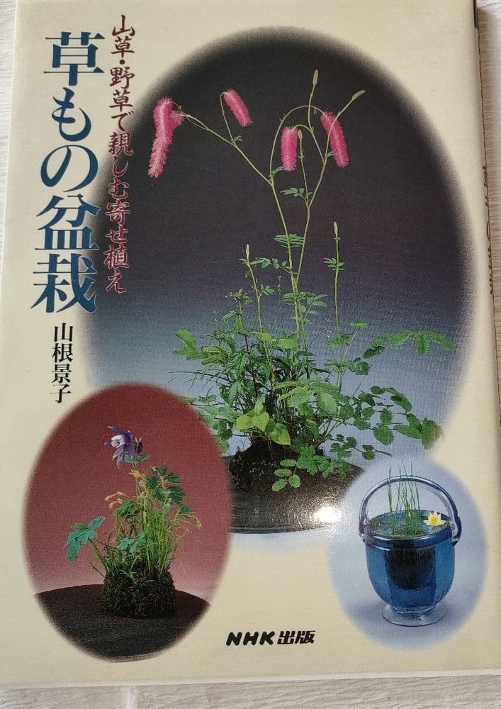 Group Planting Mountain Plants Wildflowers Herbaceous Bonsai Arrangement Guide B