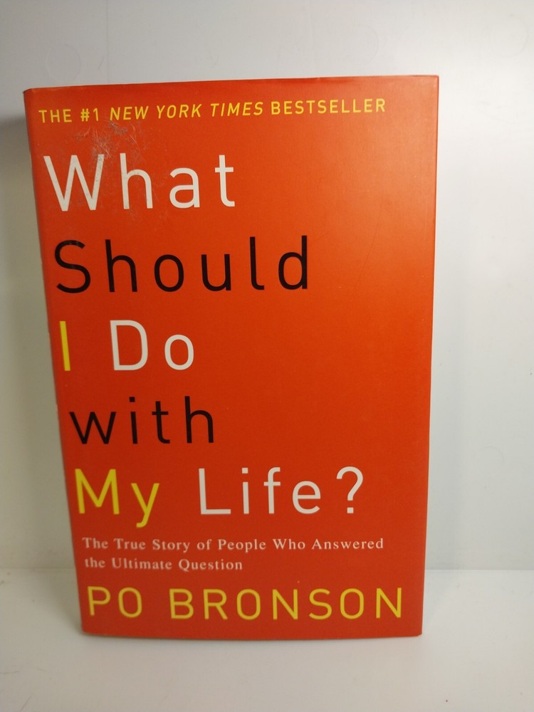 Po Bronson What Should I Do With My Life