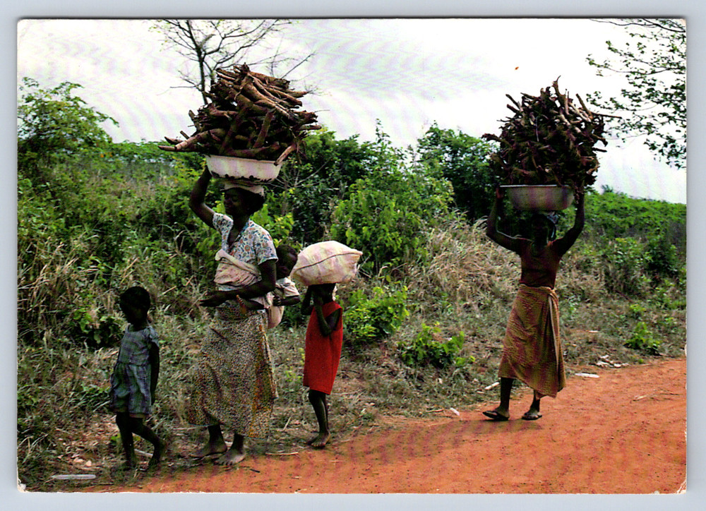 Vintage Postcard Women Carrying Firewood Accra Ghana
