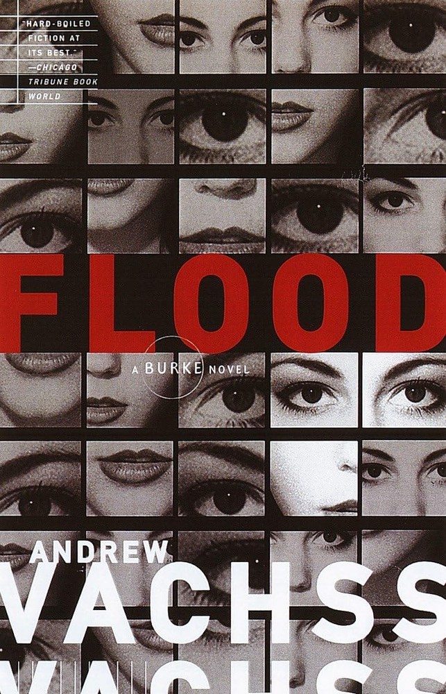 Flood by Vachss