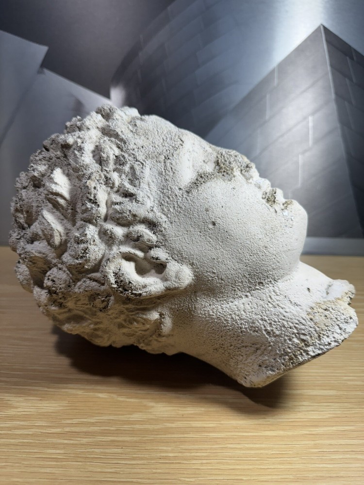 Mid Century Greek Mythology Garden Bust Statue