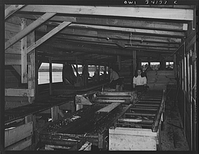 Photo:Concord New Hampshire 1910s Turkey Pond Women Workers U.S. 5