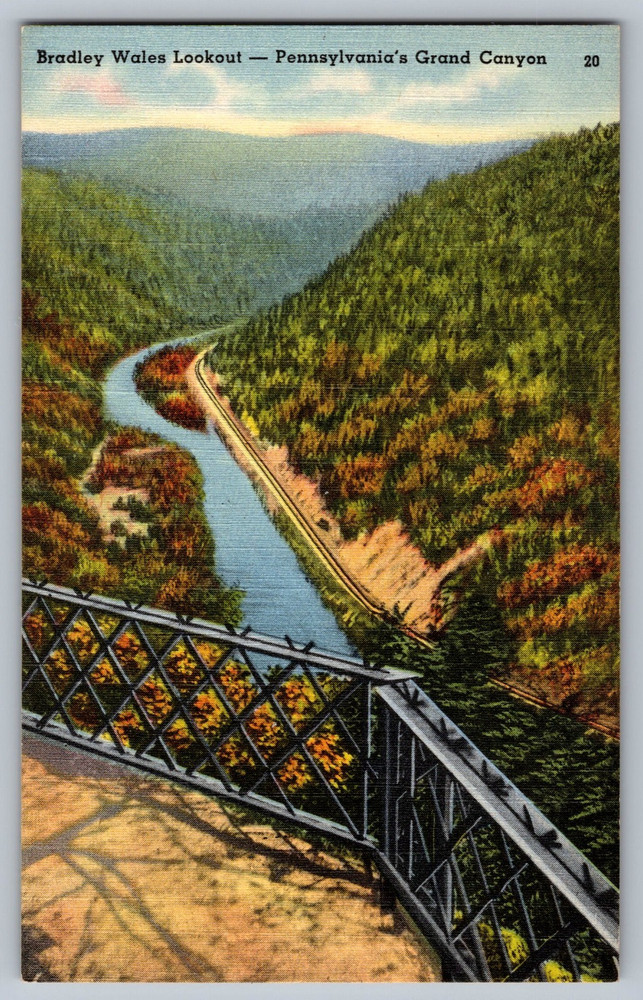 Bradley Wales Lookout Pennsylvania's Grand Canyon Postcard