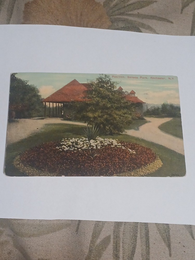 Rochester NY-New York, Seneca Park & Flower Bed Vintage  Postcard Posted 1913 17