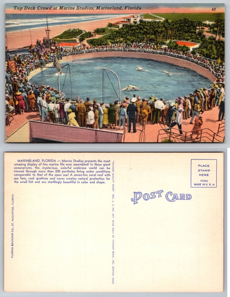Marineland Florida Marine Studios Top Deck Crowd Dolphins Linen Postcard