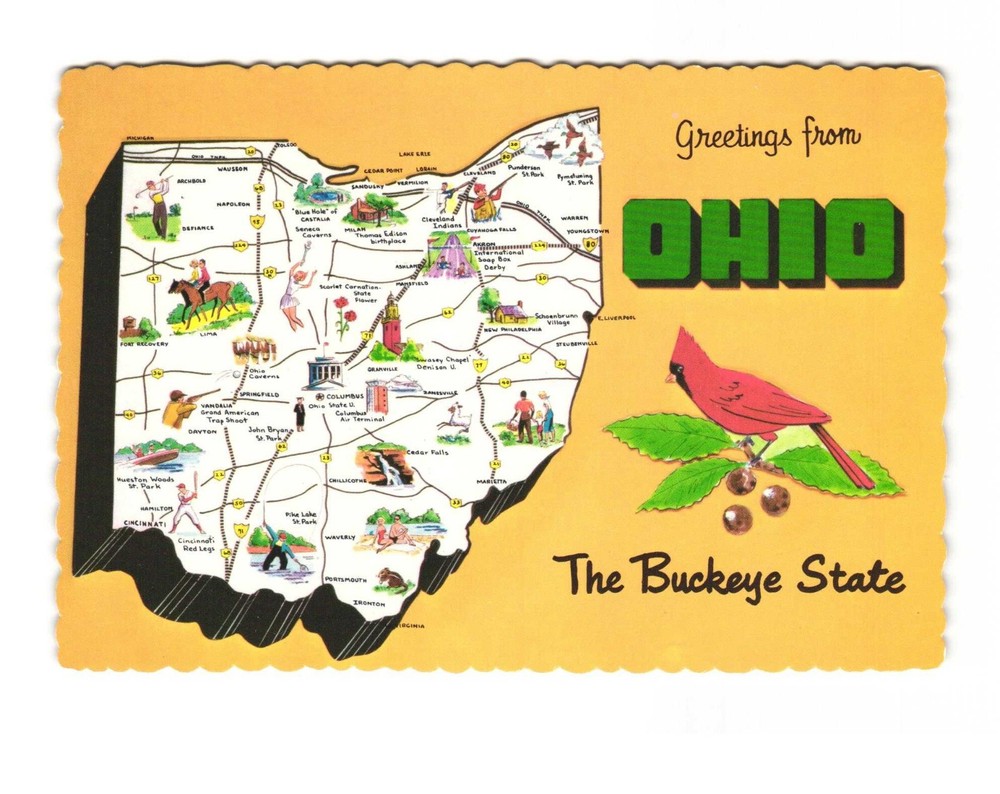 Greetings from Ohio the Buckeye State Vintage Map postcard