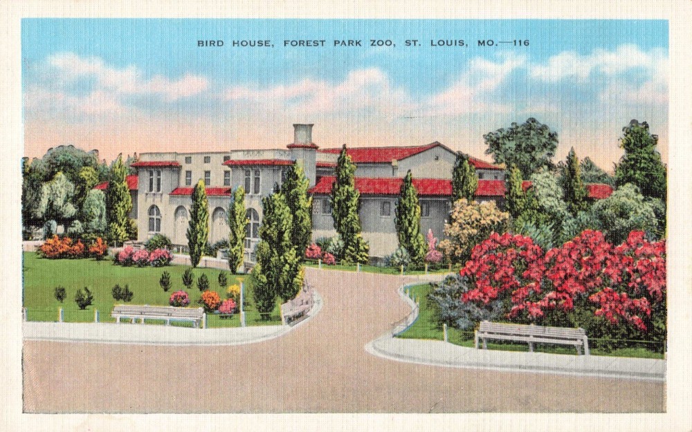 St Louis Missouri, Forest Park Zoo Bird House, Vintage Postcard
