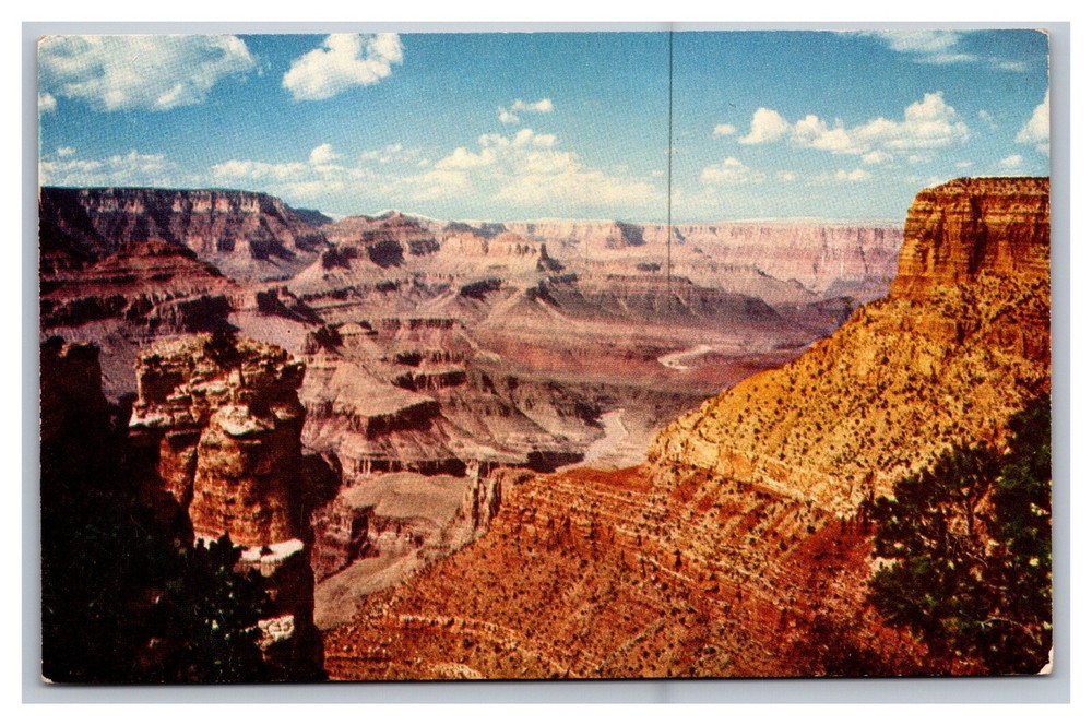 Grand Canyon National Park AZ Colorado River Moran Point Fred Harvey Postcard