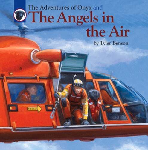 The Adventures of Onyx and the Angels in the Air: Volume 4 by Tyler Benson: Used