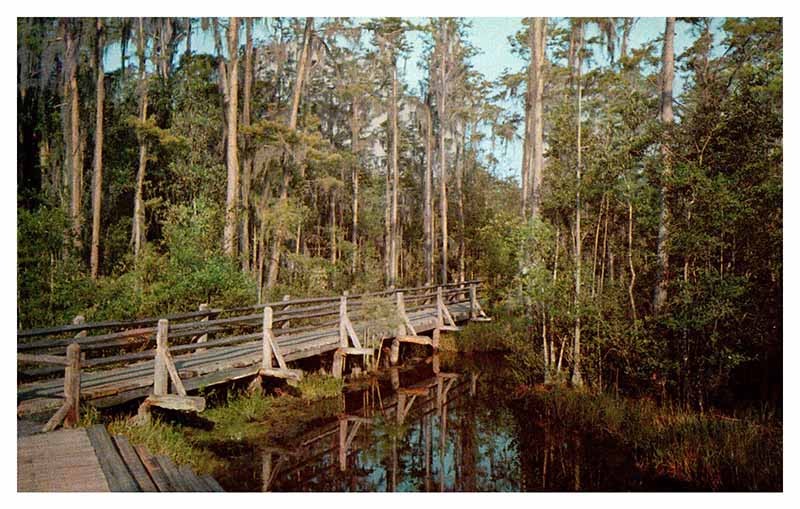 Postcard BRIDGE SCENE Waycross Georgia GA m/09 AS0787