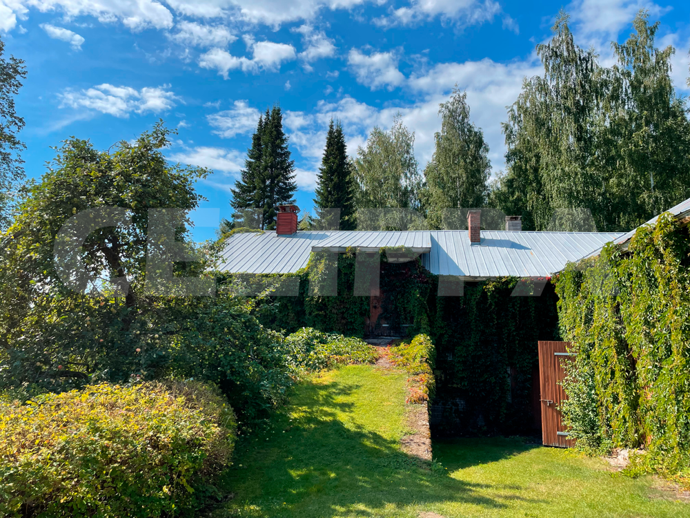 Photo Digital 300dpi Wallpaper Image Picture Background Desktop Art