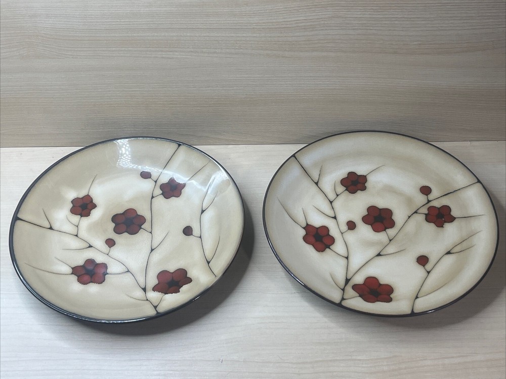 Pfaltzgraff Studio Aster Set of 2 Dinner Plates Poppy Flowers 11