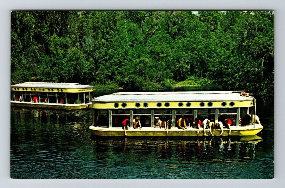 Silver Springs FL-Florida, Scenic View Boat Area, Vintage Postcard