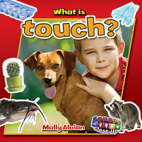 What Is Touch? Reinforced Library Binding Molly AloianFree US Delivery | ISBN:077870968X