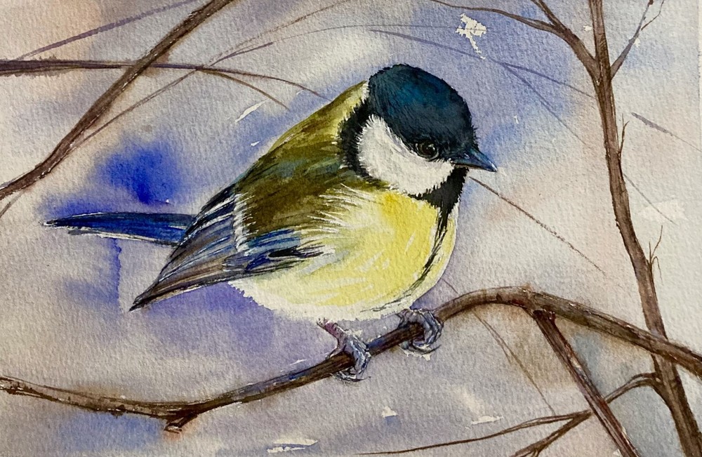 Chickadee Bird Tit Original Handmade Watercolor Artwork