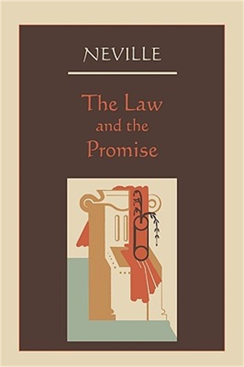 The Law and the Promise (Paperback or Softback)