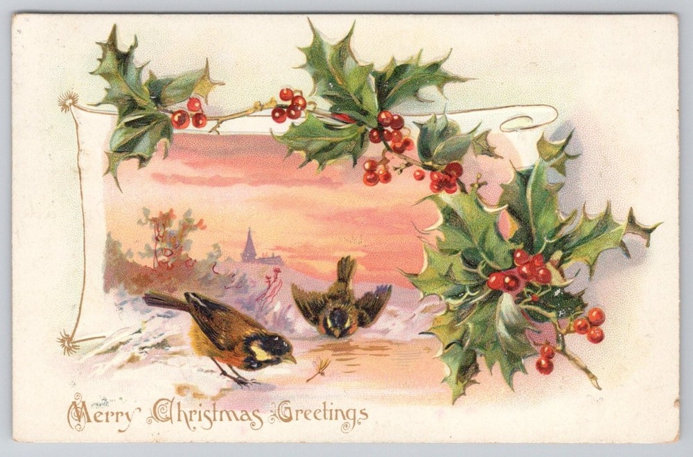 Raphael Tuck Christmas Postcard Birds Holly Embossed Posted 1900s Bridgeton NJ