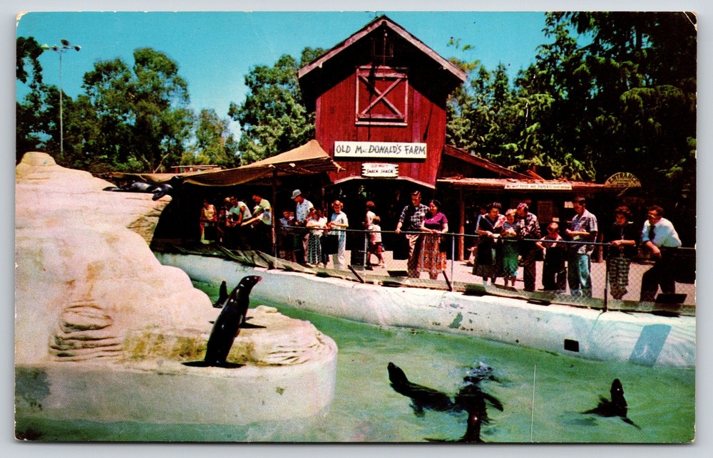 Animal~Seal Pool & Old MacDonalds Farm Ghost Town California~Vintage Postcard