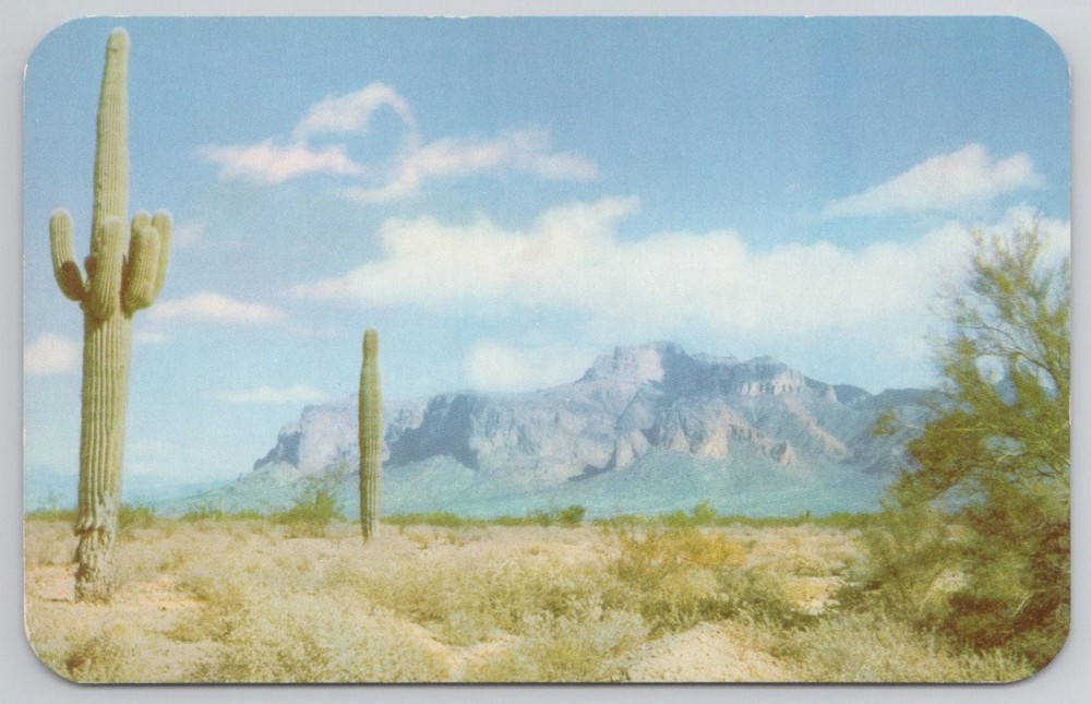 Vintage Superstition Mountain Arizona Saguaro Cactus Desert Chrome Postcard