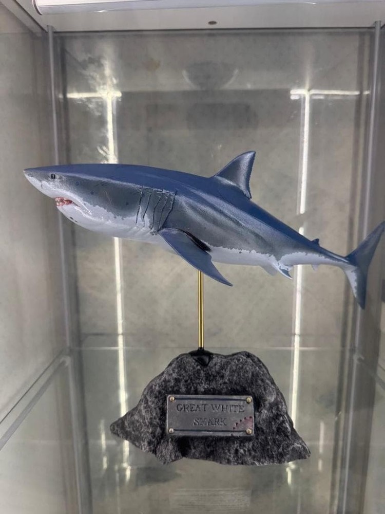 King of the Sea Great White Shark Real Figure SKU250818T #ba25f9