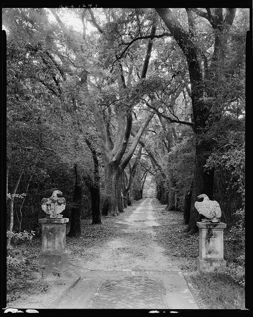 Photo:Mobile Alabama William A. Dawson House Oak Alley Driveway 1939