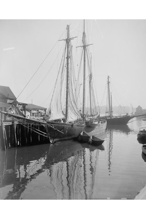 Cape Ann fishing schooner,boats,piers,wharves,Gloucester,Massachusetts,MA,c1905