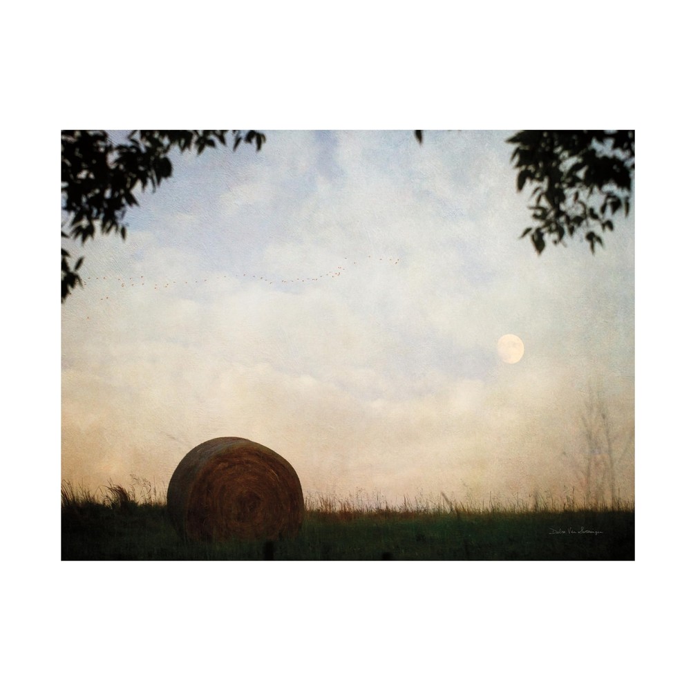 Canvas Wall Art - Debra Van Swearingen 'Migration Moon' Wall Art for Living R...