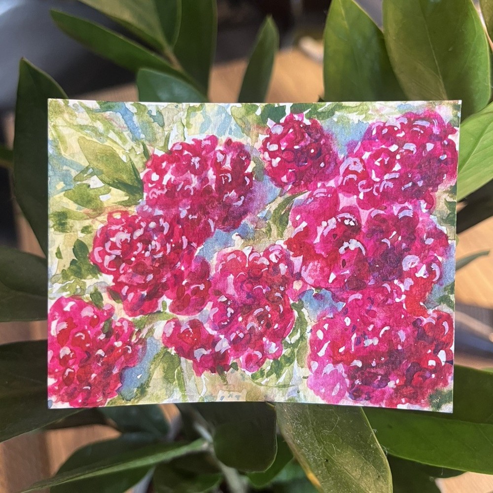 ACEO PRINT Red Raspberry Patch Ripe Harvest Fruit Watercolor Painting 3.5x2.5