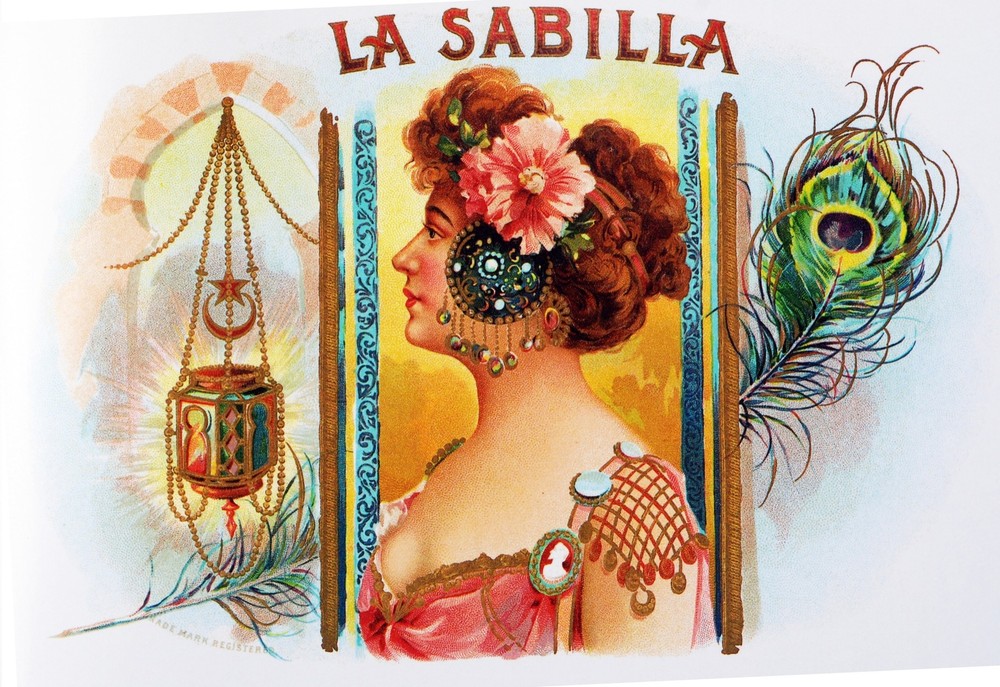 Nouveau La Sabila Decorative Poster. Fine Graphic Art. Wall Interior Design 2485