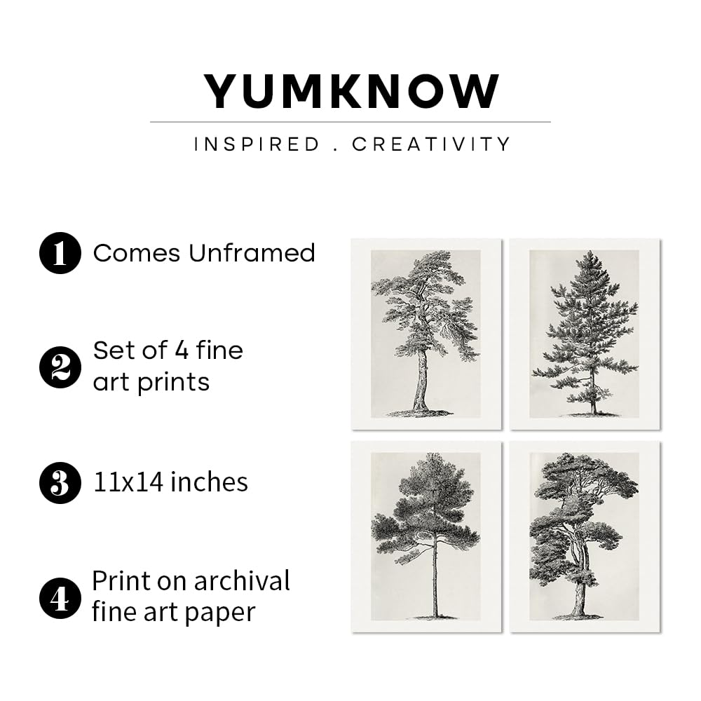 Grey Neutral Forest Tree Sketch Drawing Etching - 11X14