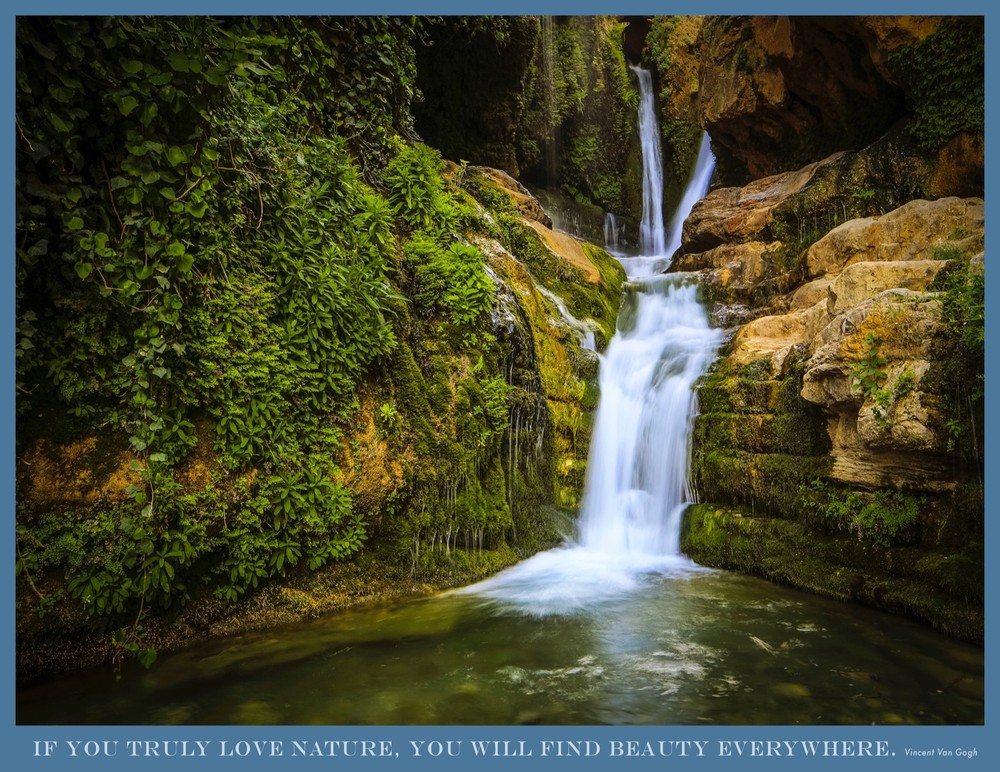 8351.Decoration Poster.Home Room wall design art print.Nature.Inspirational