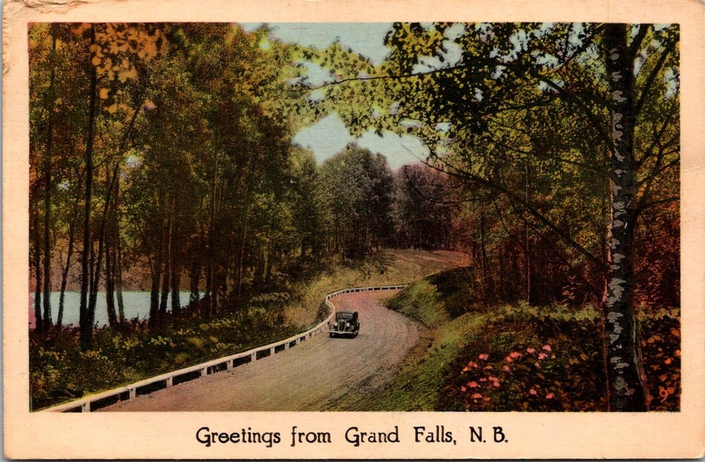 Dr Jim Stamps Postcard Greetings From Grand Falls New Brunswick Canada