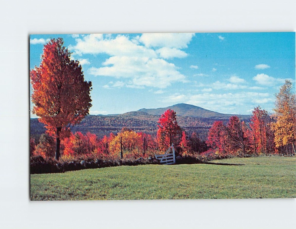 Postcard Fall Foliage Mount Kearsarge New Hampshire USA