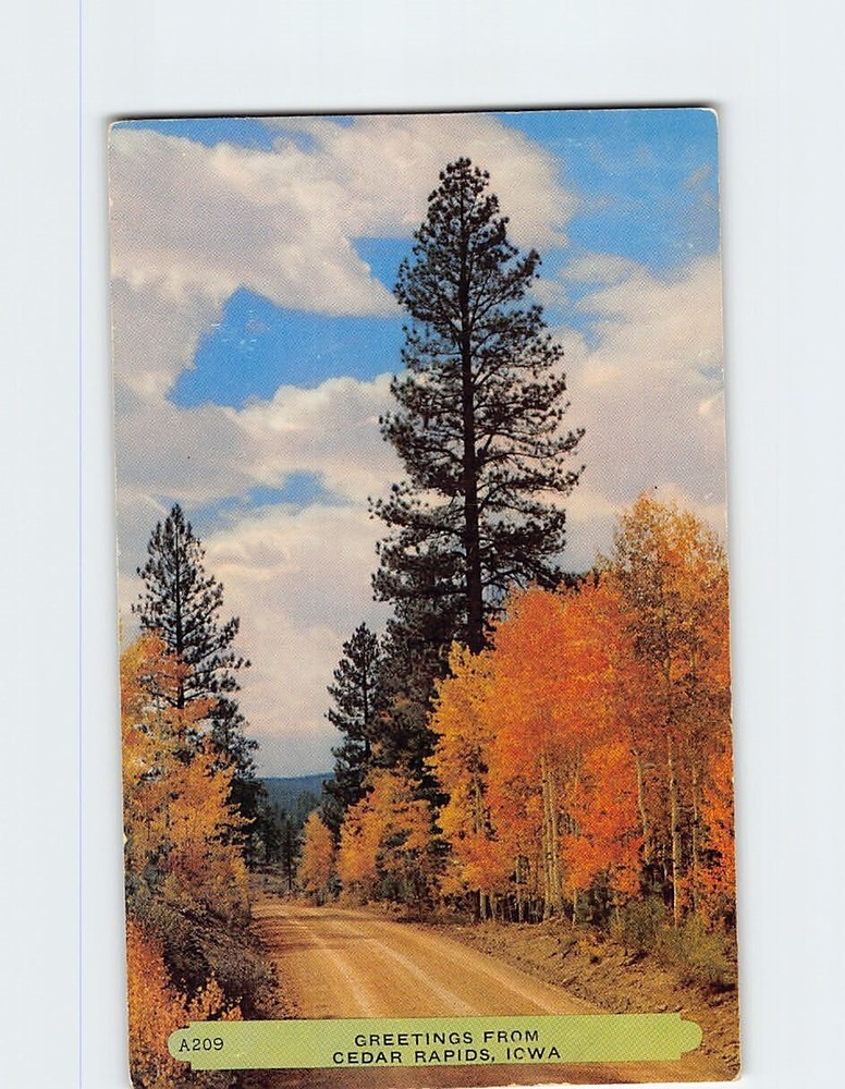 Postcard Greetings from Cedar Rapids Iowa USA