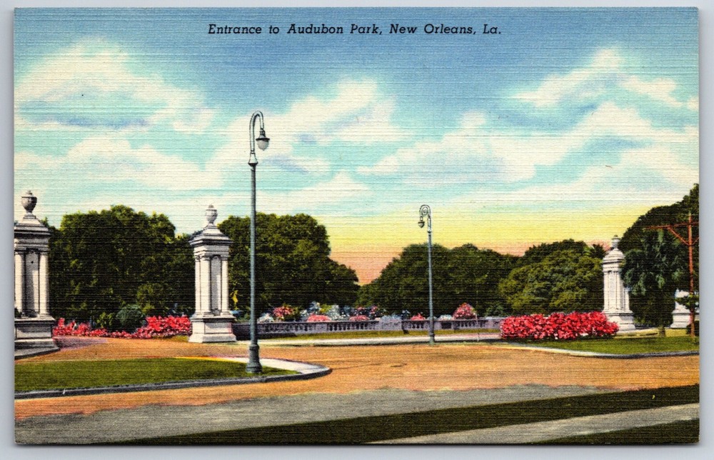New Orleans Louisiana~View Of Entrance To Audubon Park~Vintage Linen Postcard