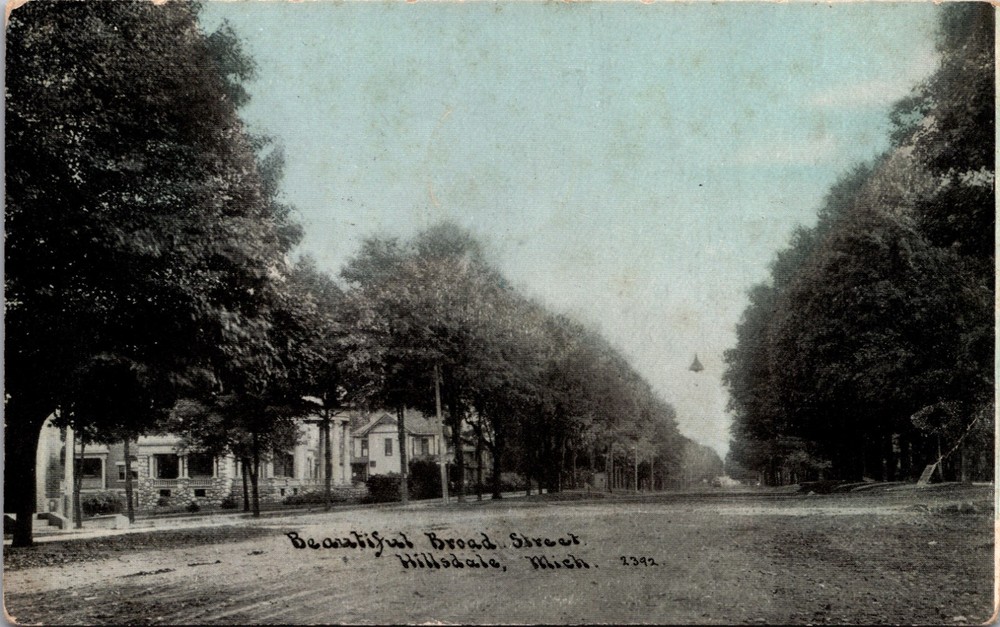 Hillsdale Michigan Broad Street 1909 Postcard Tree Lined Residential View