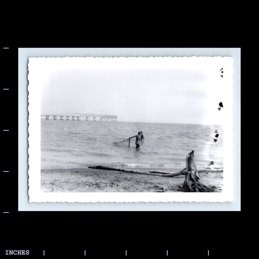 Old Vintage Photo BEACH SCENE SHIRTLESS MEN WITH FISHING NET