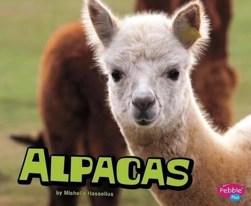 Michelle Hasselius Alpacas (Paperback) Farm AnimalsAnother great item from Rarewaves USA | Free delivery!