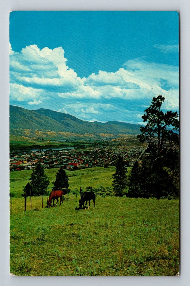 Canada- Kamloops British Columbia Scenic City View & Horses Old Vintage Postcard