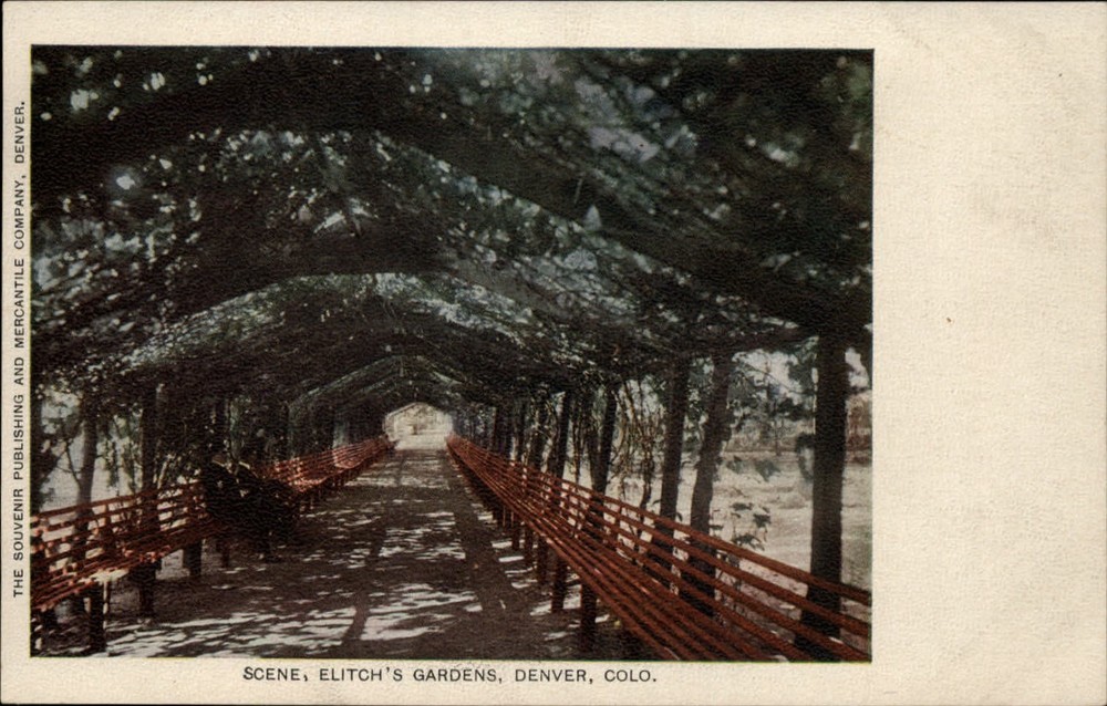 Elitch's Gardens ~ shaded tree bench walkway Denver Colorado ~ unused c1905 UDB