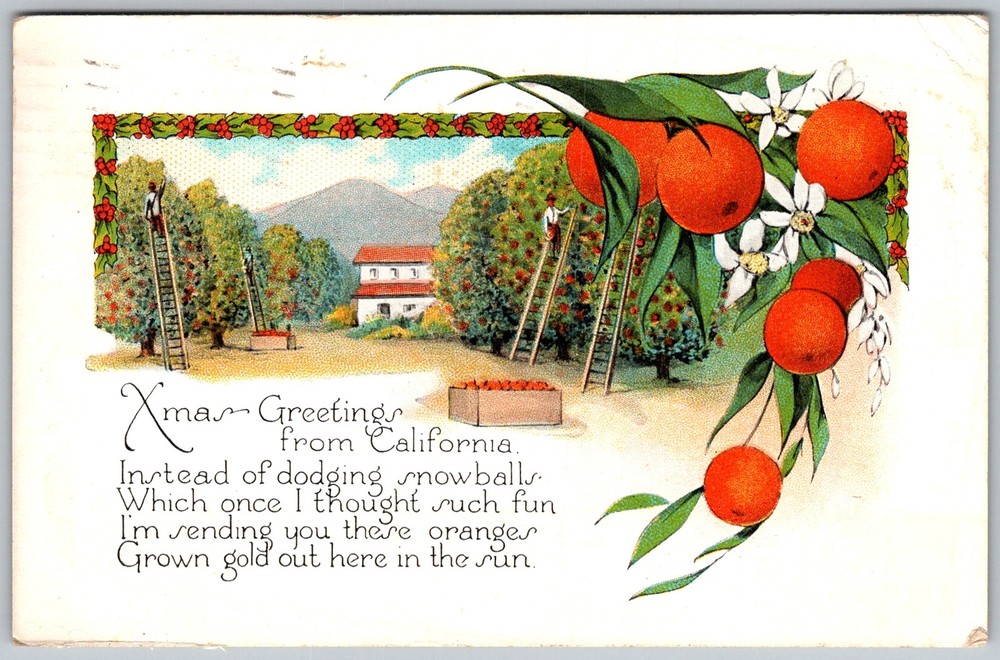 Vtg Postcard Xmas Greetings Orange Grove Long Beach, CA 1930s